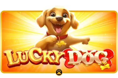 Antarmuka Free Play di platform km789